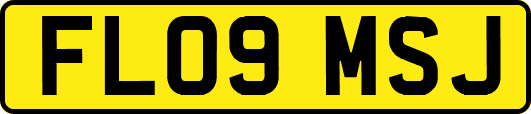 FL09MSJ