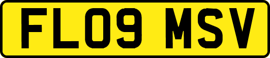 FL09MSV