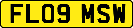 FL09MSW