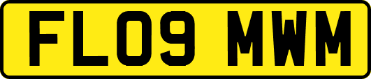 FL09MWM