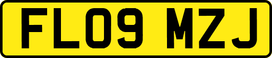 FL09MZJ