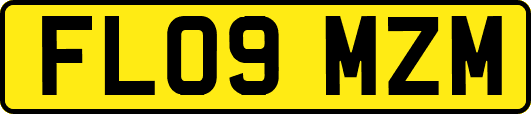 FL09MZM