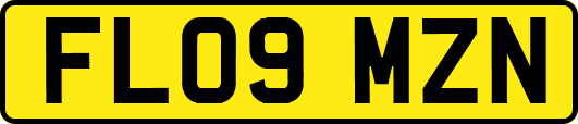 FL09MZN