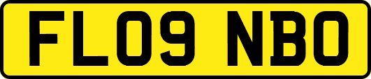 FL09NBO