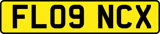FL09NCX