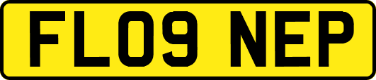 FL09NEP