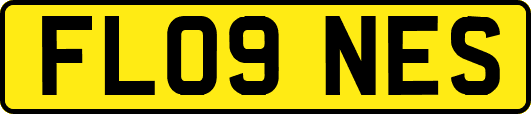 FL09NES