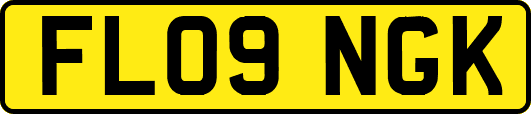 FL09NGK