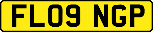 FL09NGP