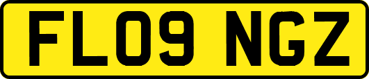 FL09NGZ