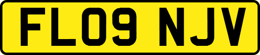 FL09NJV