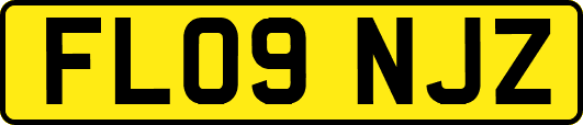 FL09NJZ