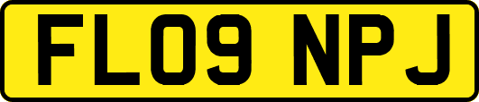 FL09NPJ