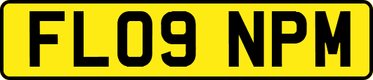 FL09NPM