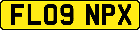 FL09NPX