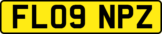 FL09NPZ