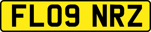FL09NRZ