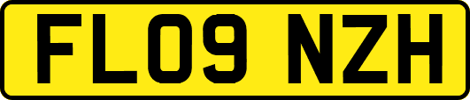 FL09NZH