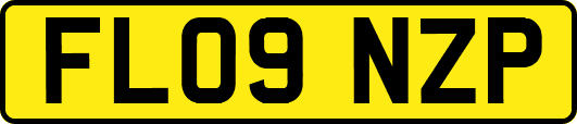 FL09NZP