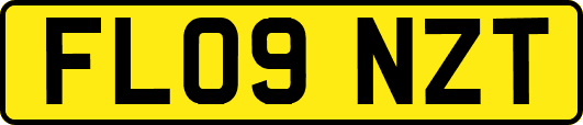 FL09NZT