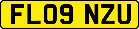 FL09NZU