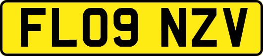 FL09NZV