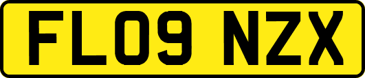 FL09NZX