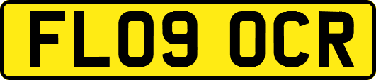 FL09OCR