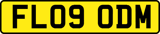 FL09ODM