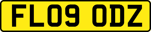FL09ODZ