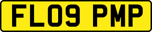 FL09PMP