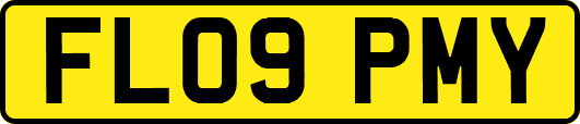 FL09PMY