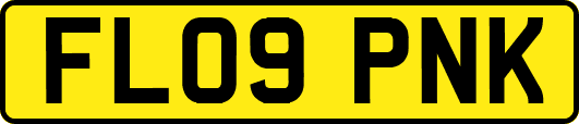 FL09PNK
