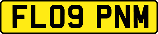 FL09PNM