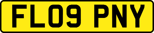 FL09PNY
