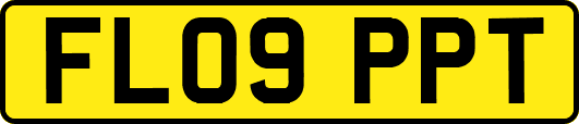 FL09PPT