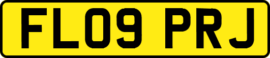 FL09PRJ