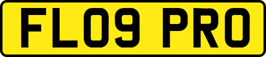 FL09PRO