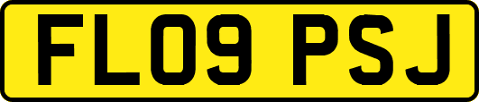 FL09PSJ