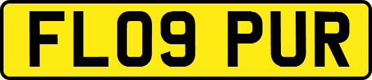 FL09PUR