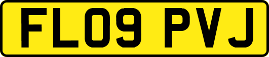 FL09PVJ