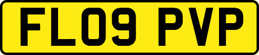 FL09PVP