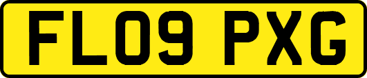 FL09PXG
