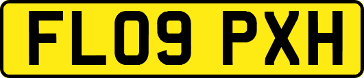FL09PXH