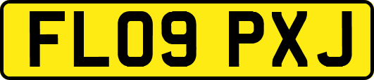 FL09PXJ