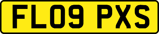 FL09PXS