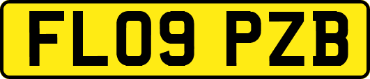 FL09PZB
