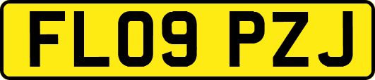 FL09PZJ