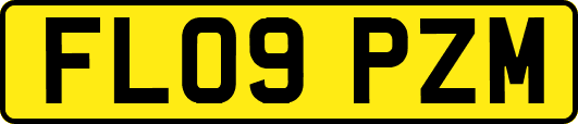 FL09PZM