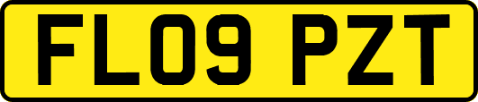 FL09PZT